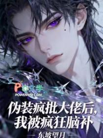 伪装大佬什么意思